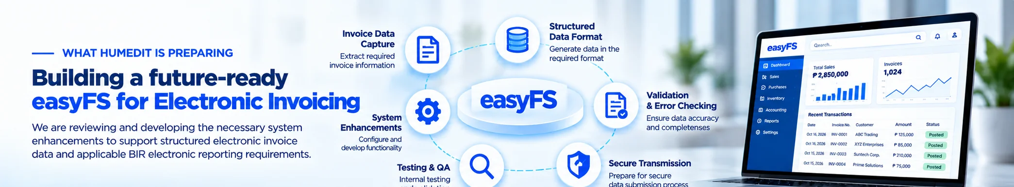 easyFS electronic invoicing preparation areas including invoice data, structured data, validation, secure transmission and testing